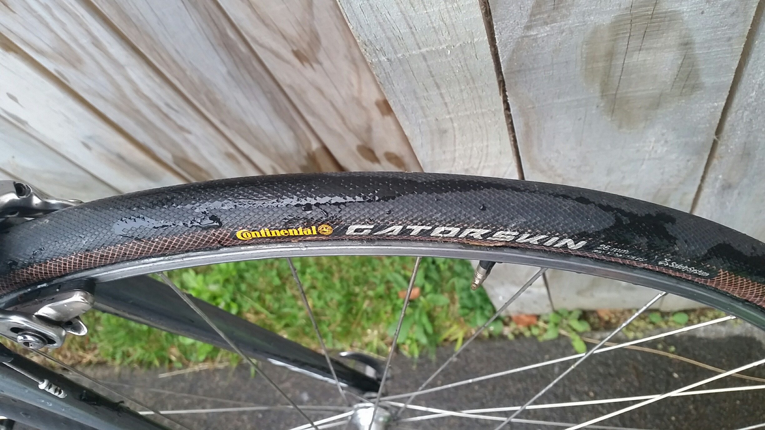 Continental Gatorskin tubular review | The Infinite Lottery of Bike Parts